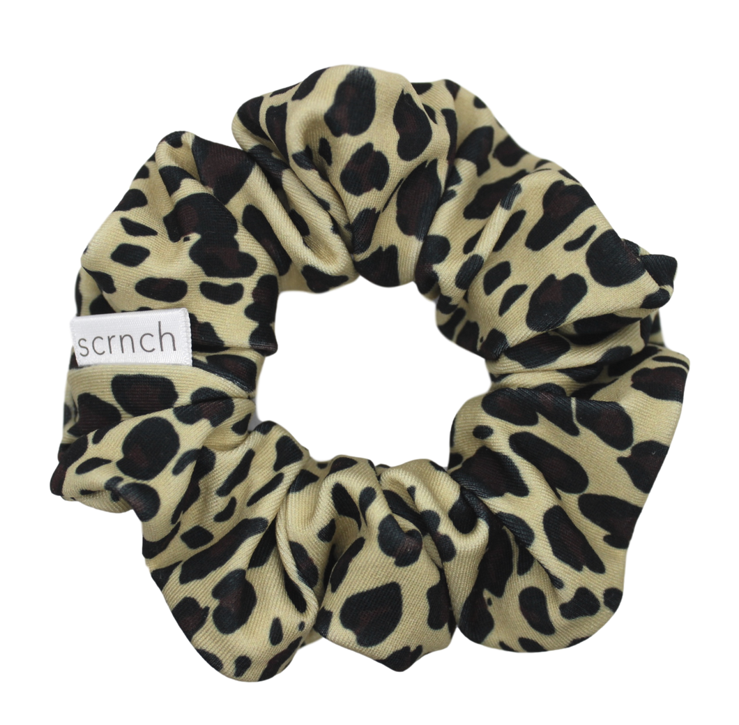 Leopard Swim